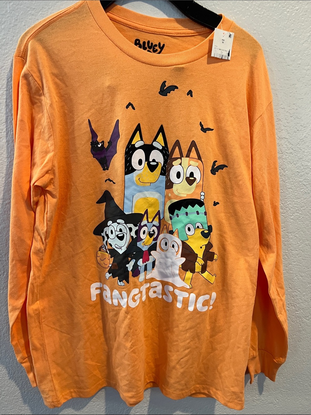 Bluey Halloween and friends